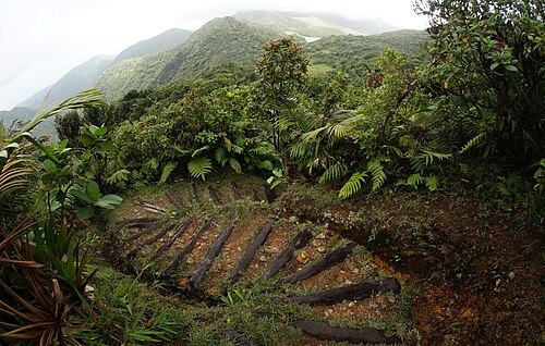 Morne Trois Pitons National Park